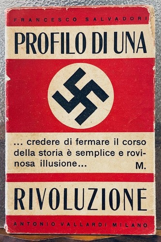 Nazionalsocialismo profilo - il, nazionalsocialismo;