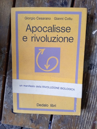 Giorgio cesarano gianni - e,